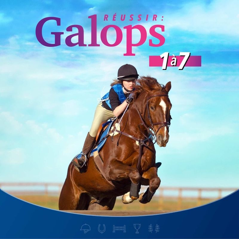 Equestrian Training box art for Playstation 4